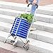 Carrello della Spesa di Grande Capacità a 8 ruote – Trolley per la Spesa Pieghevole con Borsa Impermeabile Rimovibile - Carrello Multiuso per Montascale in Lega di Alluminio