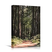 Canvas Wall Art Green Forest Dramatic Forest Landscape Living Room Multicolor Photography Rustic - 12x18 inches