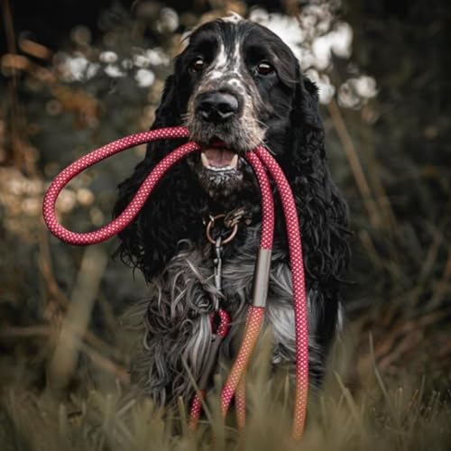 Ganzoo PPM Seil 5 Meter, Tauseil, Hunde-Leine, Halsband, Takeln, Polypropylen Multifilem Rope, 10mm Stärke, Wave Türkis