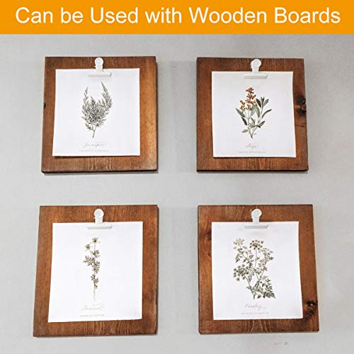 Coideal White Bull - Confezione da 20 mollette