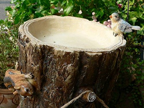 Amazon.co.jp: 森の仲間たち りすと小鳥の切り株 N7839 ウエルカム