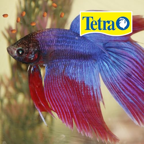 Image of Tetra BettaMin Small Pellets Fish Food For Betta Fish, 1.02 oz | Floating Pellets For Top-Feeding Bettas, Supports Digestion and Enhances Color, Complete Daily Diet - Feed 2-3 Times Per Day