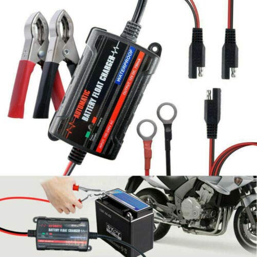 Riloer Caricabatteria Intelligente 6V/12V 1000mA – Manutentore Automatico Per Auto E Moto