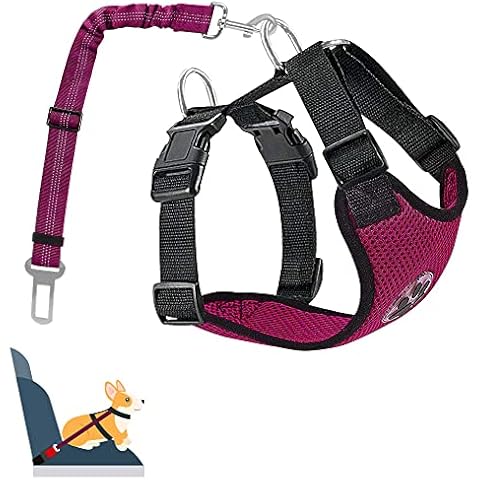 Nasjac Dog Car Harness, Dog Seat Belts for Cars and Harness Breathable Adjustable Snug Fit Easy Control for Large Medium Small Dogs, Car Seatbelt Elastic Buffer for Dogs Walking Travel Cover