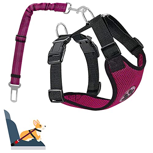 Nasjac Dog Car Harness with Seat Belts