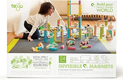 Tegu (テグ) マグネット木製ブロックセット 24ピース 関連画像 1