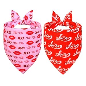 Valentine’s Day Dog Bandanas 2-Pack for Small to Medium Dogs – Reversible Hearts, Lips & XO Scarf, Pink & Red Pet Accessories for Valentine Gift