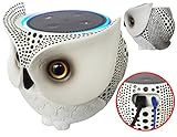 FitSand Owl Statue Crafted Stand Guard Station Holder for Amazon Echo Dot 2nd and 1st Generation, Jam Classic Speaker - BFF For Alexa