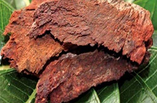 finaldeals Arjun Chaal Terminalia arjuna 100 Gram Arjuna Chaal