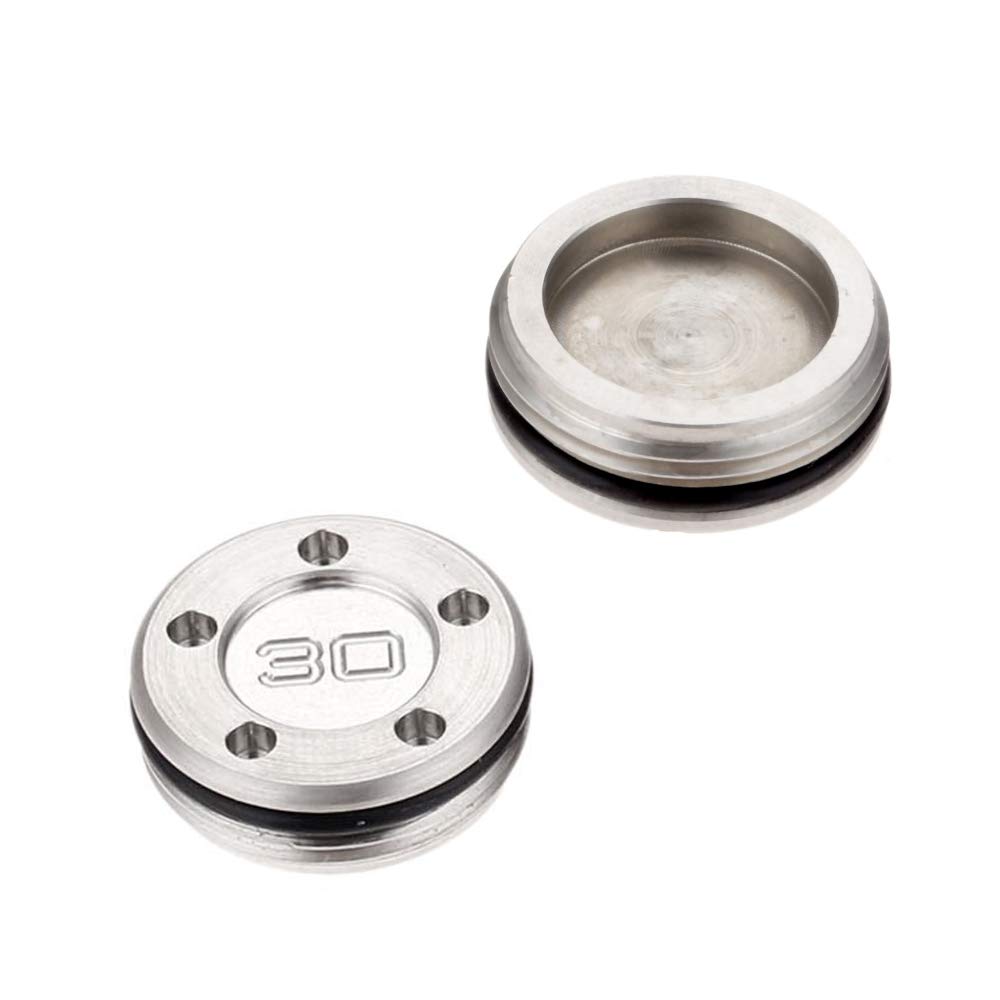 SEACLOUD Puttergewichte für Scotty Cameron Select Newport Studio Design Clubs Head (30 g x 2, Silber)