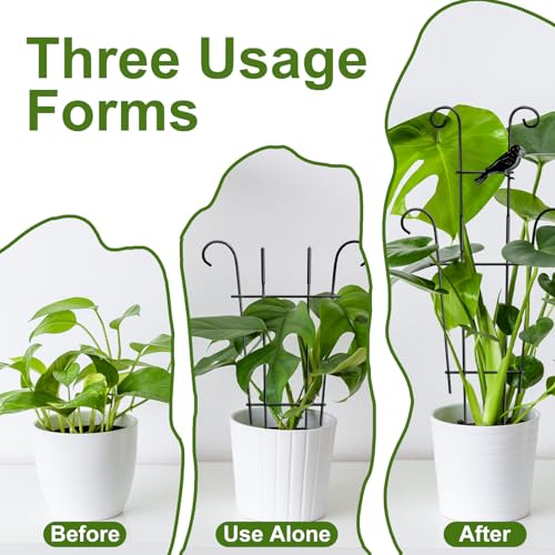 Image of 23in Plant Trellis Indoor, Trellis for Potted Plants with Bird, Garden Trellis Climber Support for Climbing Plants Pothos Hoya Vine