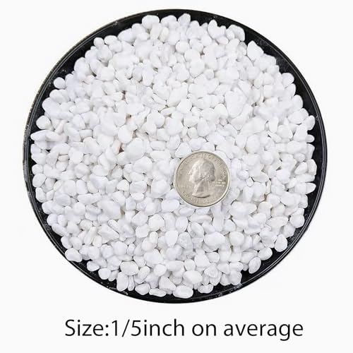 Image of 2LB White Succulent and Cactus Gravel Pebbles - 1 /5 Inch Natural Stones for Plants, Vases, Aquariums, Terrariums, and Outdoor Gardening