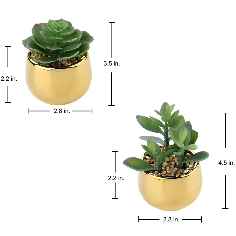 Pequeñas suculentas artificiales en macetas, juego de 2 plantas suculentas realistas con macetas de cerámica doradas, lindas mini plantas falsas decoración para la mesa moderna del hogar, 7