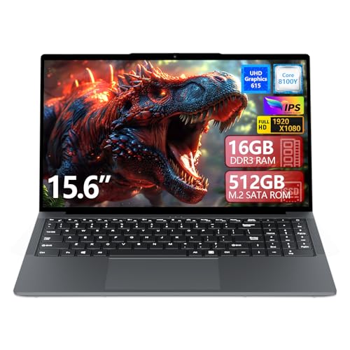 Ordinateur Portable 15,6 Pouces, Pc Portable Win 11 Pro, Ordinateurs Portables HD 1920x1080...