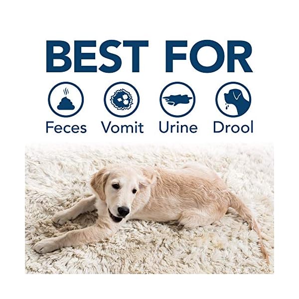 Simple Solution Stain and Odour Remover for Dogs, 1000 Ml Simple Solution Stain and Odour Remover for Dogs, 1000 Ml