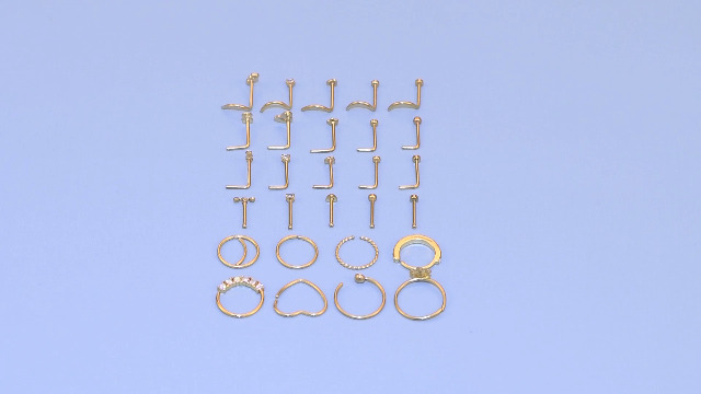 21-Piece 20G Surgical Steel Body Jewelry Set – Nose Hoops, Lip Rings, Straight Studs - View #3