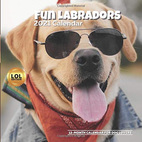 Fun Labradors LOL 2021 Calendar: Funny Wall Planner for Dog Lovers Owner Birthday Ideas, Stocking Stuffer / Filler Christmas