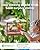 Window Bird Feeder, Metal - with Strong Suction Cups, Large Outdoor for Viewing Bird Watching Gift (Curved)