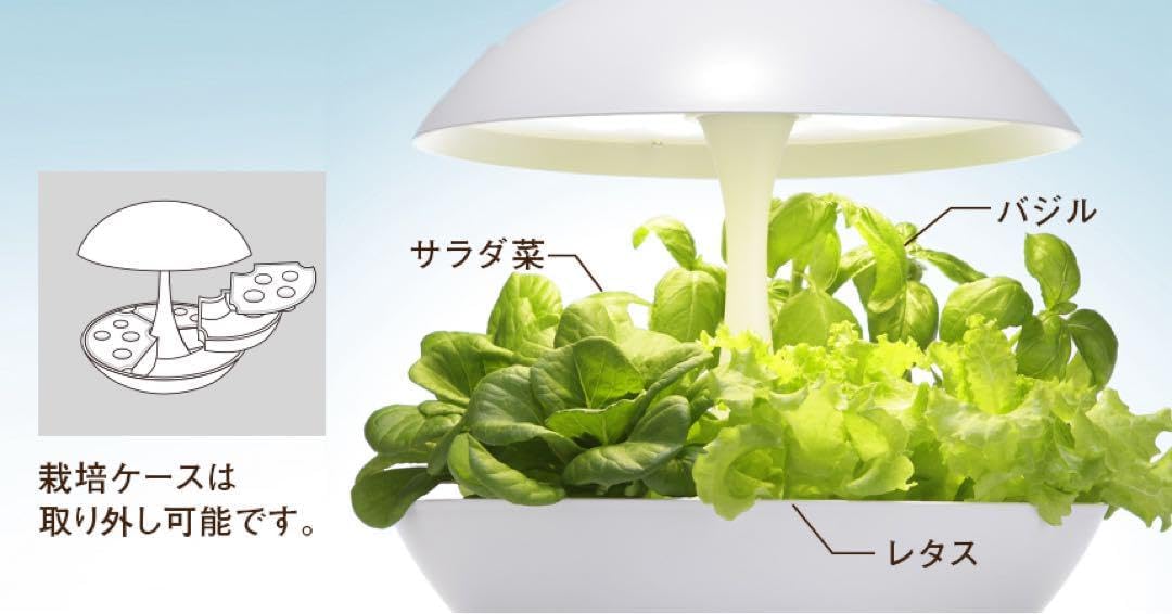 水耕栽培キット Akarina01 灯菜 アカリーナ OMA01