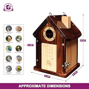 Bluebirdhousesforoutsidepremiumbirdhousesforoutsidewoodencabinbirdhousesforoutdoorsweatherproofcourtyarddecoratedhangingbirdhousenestingbirdhouse  Urban Country Home Decor Bluebird houses for outside premium bird houses for outside wooden cabin birdhouses for outdoors weatherproof courtyard decorated hanging bird house nesting bird house  urban country home decor