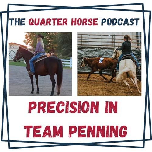 Precision in Team Penning Podcast Por  arte de portada