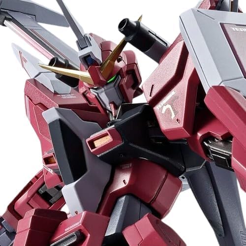 Amazon | METAL ROBOT魂 ＜SIDE MS＞ 機動戦士ガ ン ダ ムSEED FREEDOM 