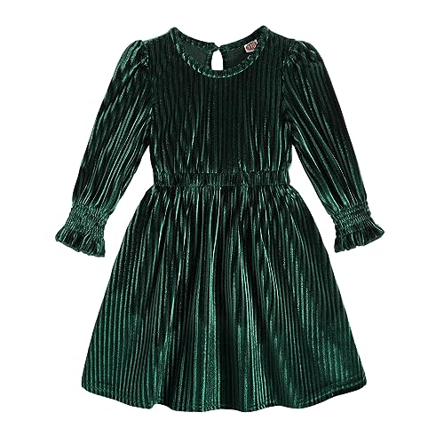 JEELLIGULAR Toddler Baby Girl Dress Long Sleeve Fall Winter Velvet Crew Neck Dresses for Littler Girls Kids Princess Party Dress(Green,3-4T)