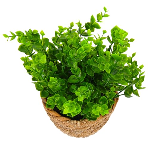 ROMISBABA ?真花盆栽 鉢植え風人工盆栽 インテリア装飾用観葉植物デスクトップ飾り 母の日 に 静かな自然雰囲気を演出