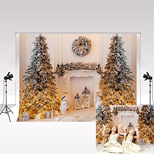Sfondo Natale Fotografico 3x2.5m - Scenario Festivo Per Studio E Casa