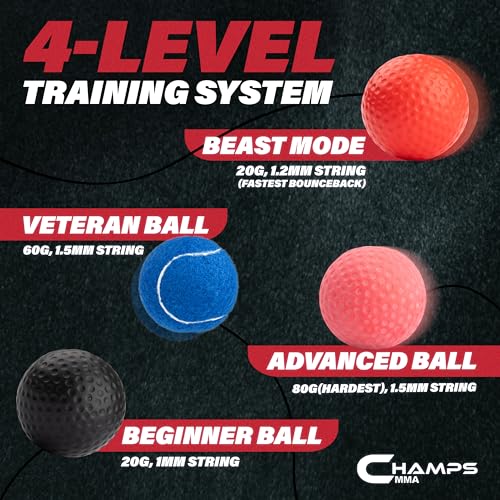 Champs MMA Boxing Reflex Ball Set Review
