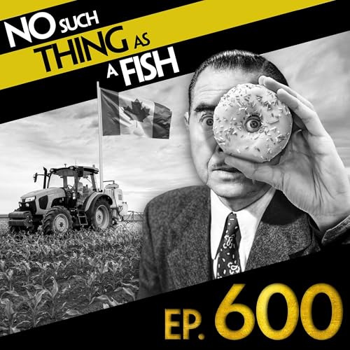 600: No Such Thing As The Doughnut Ambassador cover art