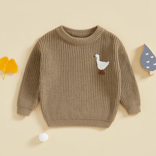 infant baby boy girl knit sweater rooster goose embroidery crew neck long sleeve pullover knit shirt winter clothes