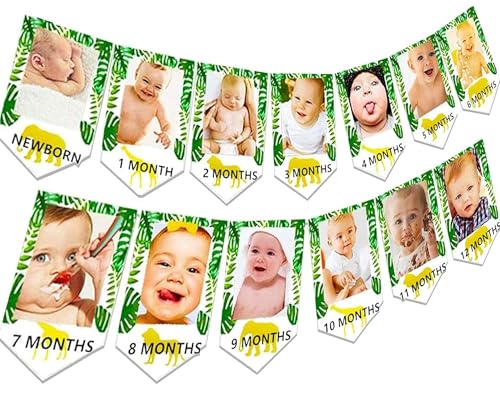 JeVenis jungle animals first birthday decoration wild wild decoration a banner safari animals birthday decoration