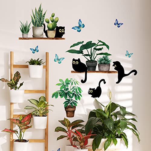 Vinilo decorativo adhesivo gato negro y planta suculenta miniatura 6