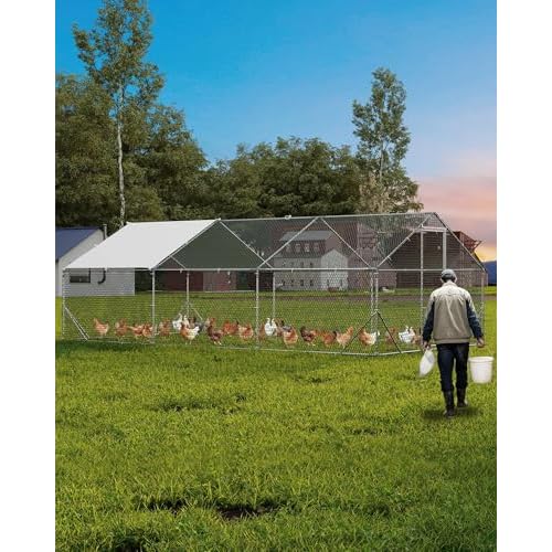 Outdoor Large Metal Chicken Coop, Walk-in Poultry Cage with Anti-UV Cover and Waterproof,for Outside,Backyard and Farm,20 x 9.8 x 6.5 Ft