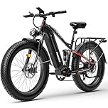 FREESKY Eurostar Electric Bike for Adults 48V 25Ah 95 Miles Long Range E-bike,25 KM/H Full Suspension & Dual Hydraulic Brakes Electric Mountain Bike,26" Fat Tire E-bike (Basic)
