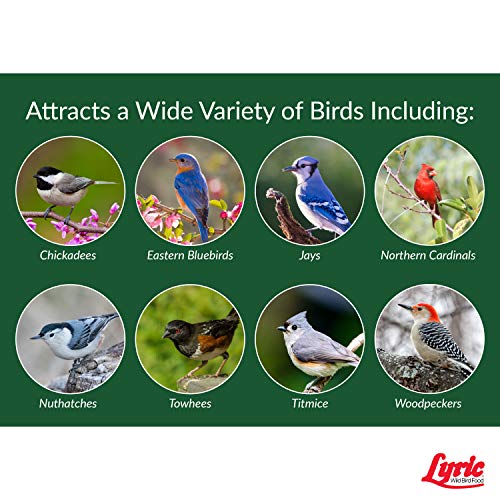 Lyric Peanut Pieces Wild Bird Seed - No Waste Bird Food - Attracts Titmice, Woodpeckers, Chickadees & More - 15 Lb Bag #TOP5