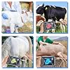 2025 Upgraded Veterinary Ultrasound Machine - with 3.5MHz Convex Probe, Pregnancy Portable Handheld Scanner B-Ultra Sound for Cattle, Horse, Pigs, Sheep, Cats, Dogs, Rabbit, Fish