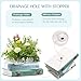 Could Spark Bookstack Ceramic Planter - Small Flower Vase for Succulents, Air Plants, Desk Decor - Mini Book-Shaped Pot for Bookshelf, Office, Bedroom for Book Lovers (Classic Design) 5
