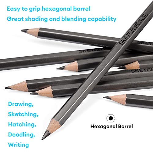 Dyvicl Professional Drawing Sketching Pencil Set - 12 Pieces Drawing Pencils 10B, 8B, 6B, 5B, 4B, 3B, 2B, B, Hb, 2H, 4H, 6H Graphite Pencils For Beginners & Pro Artists #TOP2