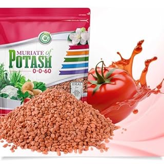 Muriate of Potash 0-0-60 Fertilizer Made in USA - MOP Potassium Plant Food for Indoor/Outdoor Plants, Flower Gardens, Fruit and Vegetable Gardens, Holistic Herbs, Trees and Green Lawns!