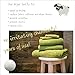Three by Three Seattle Felt·Like·it!™ XL Wool Dryer Balls + Storage Bin: Reduce Drying Time, Static Cling, and Energy Use | Natural Alternative to Fabric Softeners | (Pack of 3 White Dryer Balls)