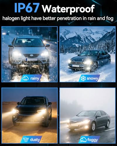 Image of NEWBROWN H1 Headlight Bulb H1 Halogen Headlight Bulb 5000K Super White Light Long Life Replacement P14.5S 12V /55W (H1, 2 Pack)