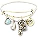 Antique Gold Tone Wise Owl with Crystal Eyes Wire Bangle Charm Bracelet