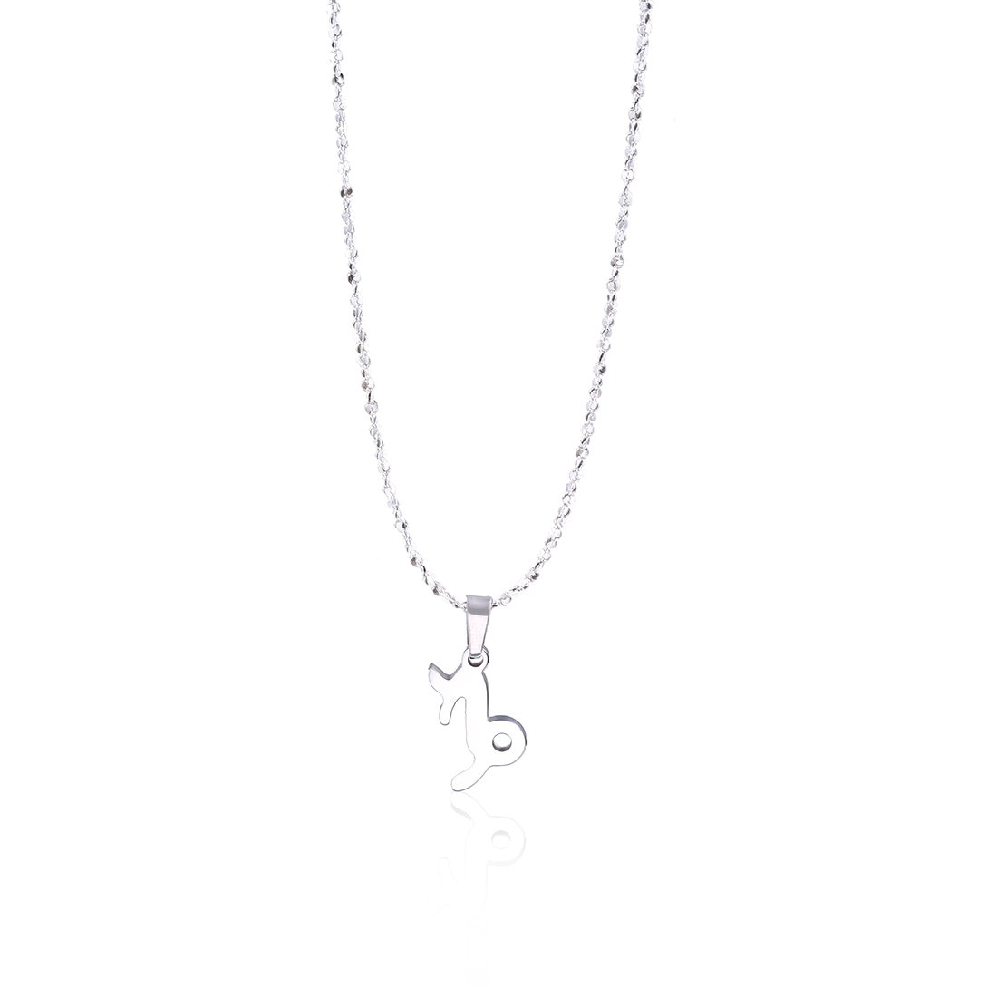 Anlive Stainless Steel Zodiac Star Sign Astrology Necklace Birthday Gift for Her