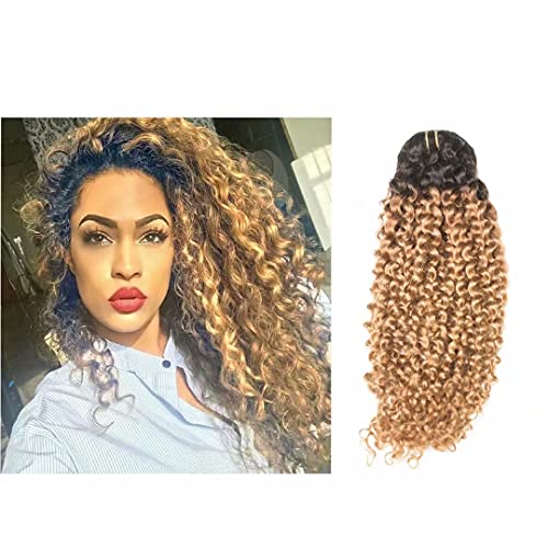 Jerry Curly Clip in Hair Extension Full Head 14” #1BT27 Herchuse Fine Hair Soft Thick Remy Human Hair For Black Women Un