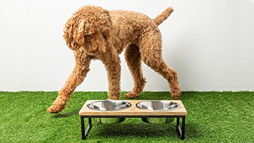 Brave Bark Wood & Metal Feeder - Premium Mango Wood Feeder with Metal Stand, 2 Stainless Steel Bowls for Food or Water… - Image 6