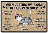 Remember When Visiting Cats House Personalized Cat Doormat Welcome Mat Gift Cat Dad Cat Mom Gift Cat Lover Gifts Funny Cat Doormat Welcome Mat Decor Home Decor Cat Rule Doormat Up To 3 Cats