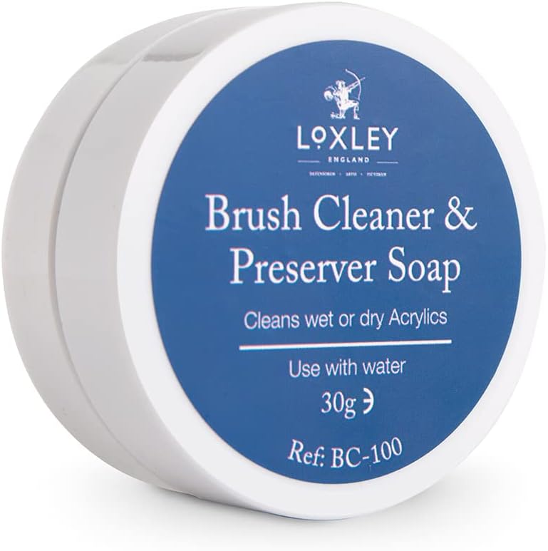Brush Cleaner & Preserver : 30g Pot