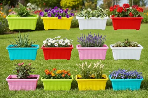Image of Bianco Rectangular Plastic Pots for Plants, Jupiter Flower Pots for Home, Window Display, Garden (35 x 18.5 x 15 cm) (Multicolor) (Pack of 12)